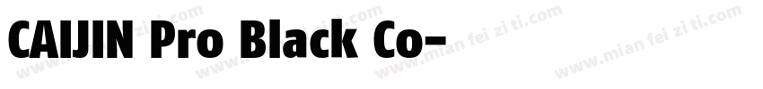 CAIJIN Pro Black Co字体转换